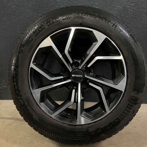 
            215/65R17 Continental 
    

                        91
        
                    H
        
    
    Personenauto

