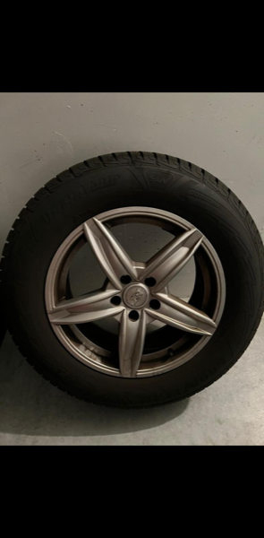 
            235/65R17 Goodyear 
    

                        108
        
                    H
        
    
    यात्री कार

