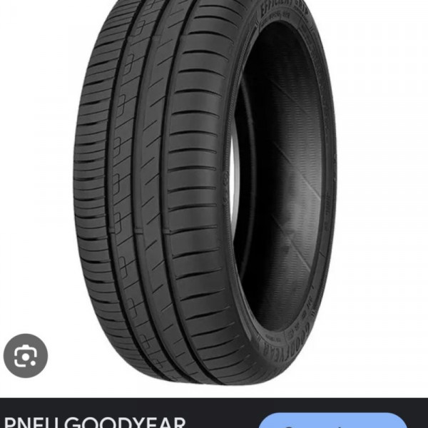 205/55R17 Goodyear Efficient gripp
91
V
Autovettura