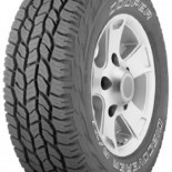 
            Cooper 255/70 TR17 TL 112T CP DISC AT3 4S OWL
    

                        112
        
                    TR
        
    
    乘用车

