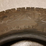 
            185/65R15 Divers SAVA  Perfecta
    

                        88
        
                    T
        
    
    Autovettura

